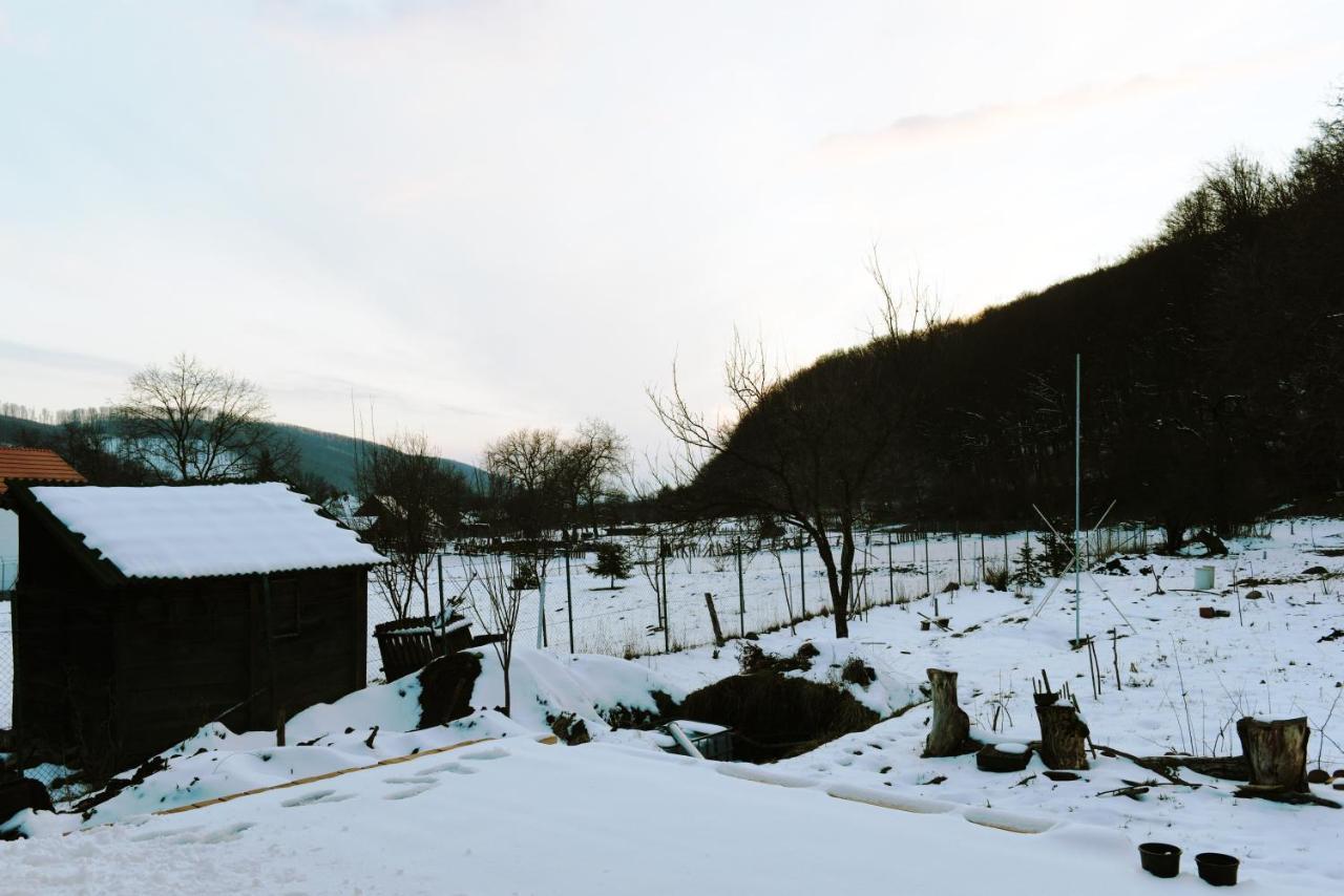 Aster Panzio Bed and Breakfast Cîmpu Cetăţii Exteriör bild