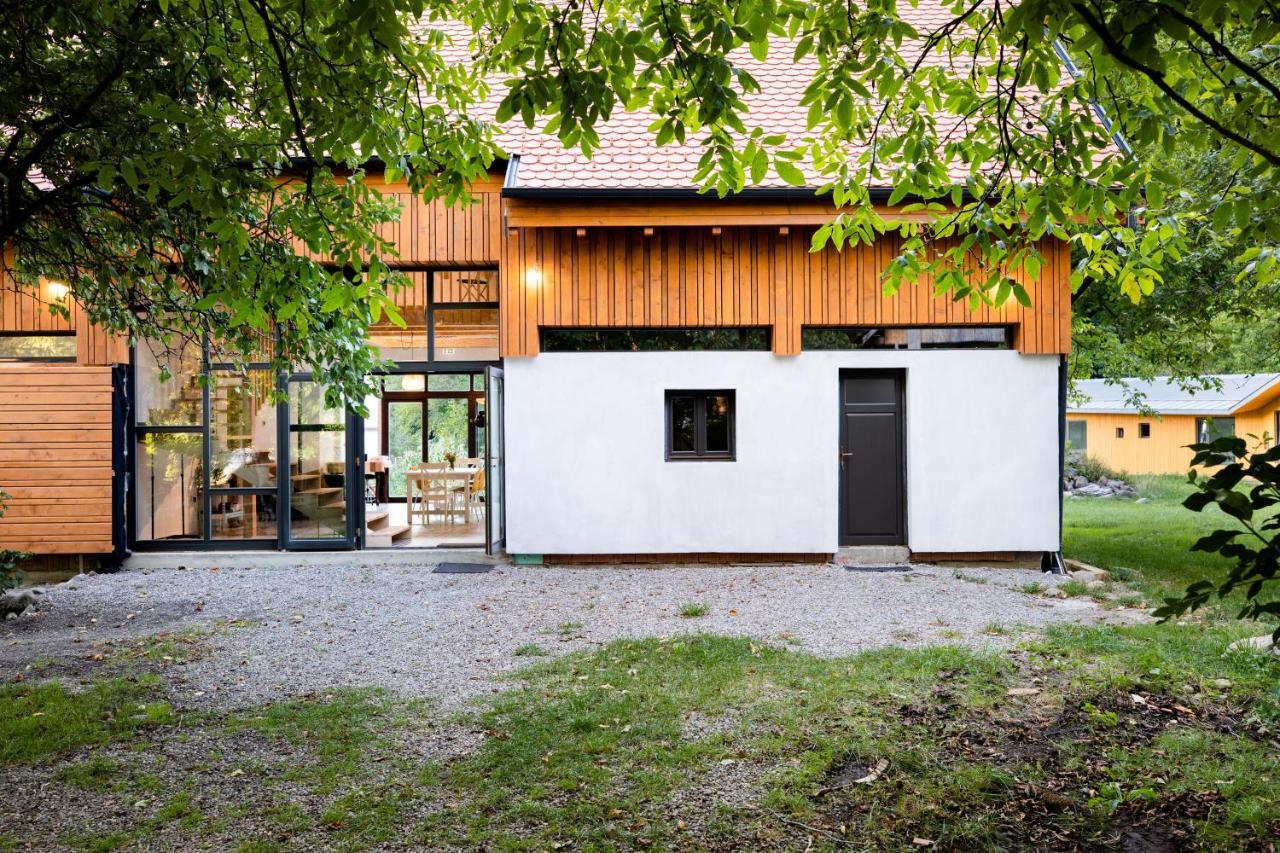Aster Panzio Bed and Breakfast Cîmpu Cetăţii Exteriör bild