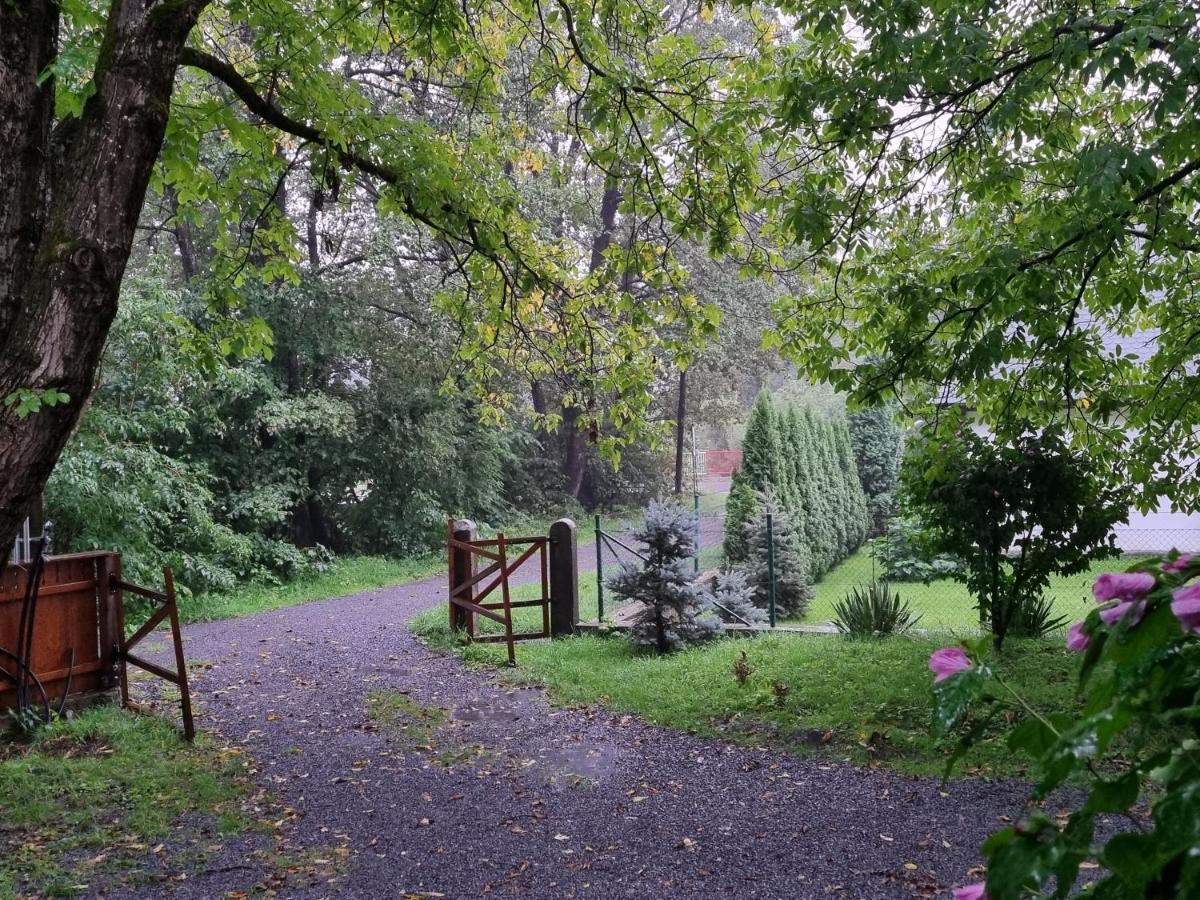Aster Panzio Bed and Breakfast Cîmpu Cetăţii Exteriör bild