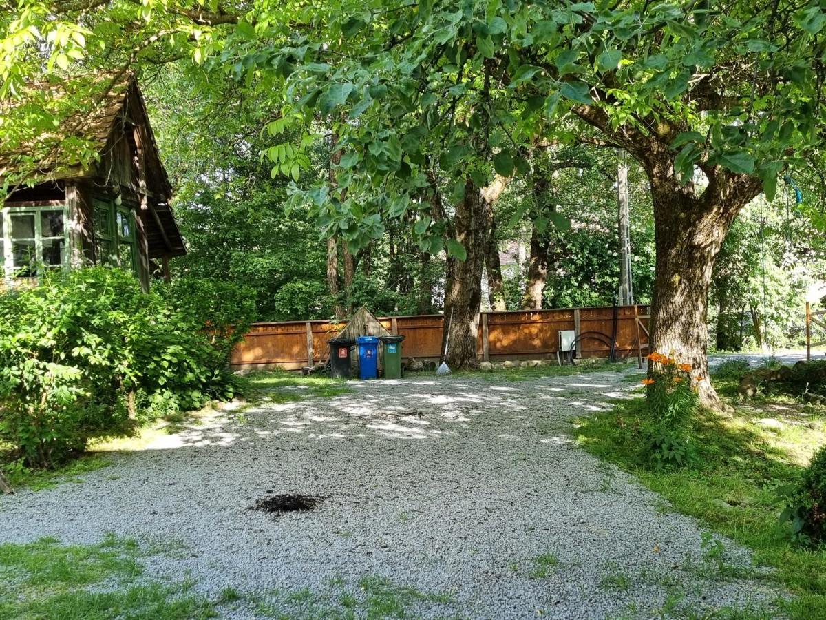 Aster Panzio Bed and Breakfast Cîmpu Cetăţii Exteriör bild