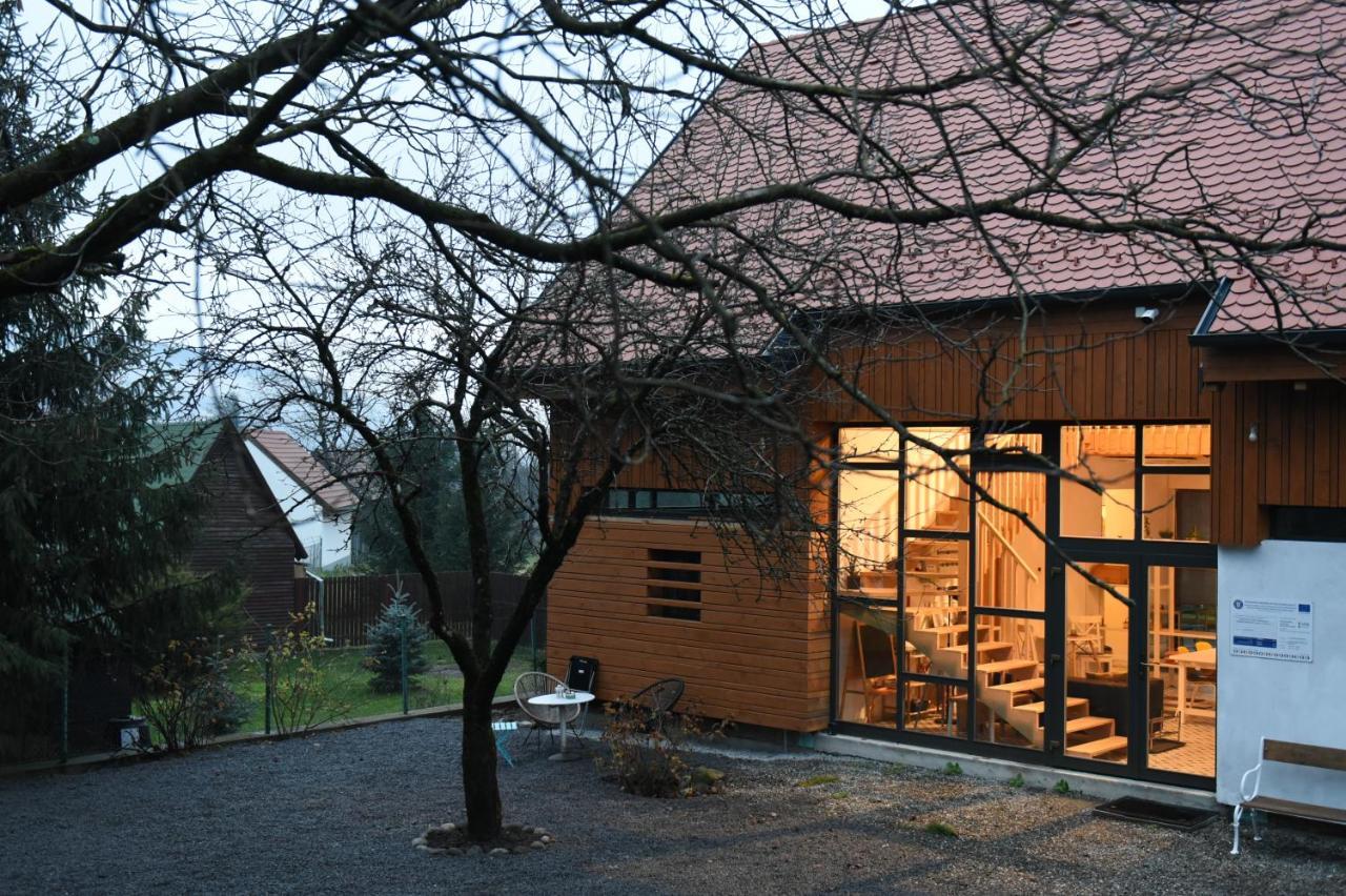 Aster Panzio Bed and Breakfast Cîmpu Cetăţii Exteriör bild