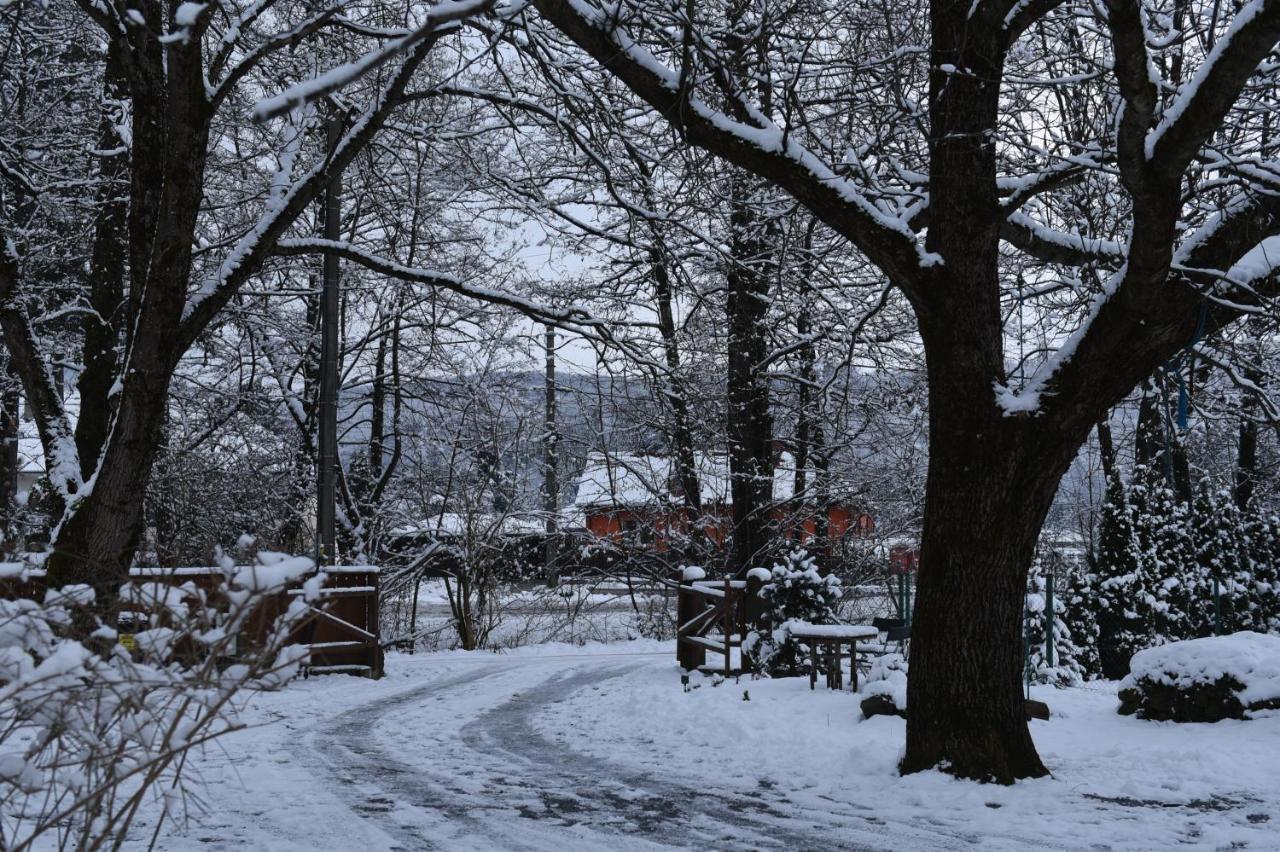 Aster Panzio Bed and Breakfast Cîmpu Cetăţii Exteriör bild