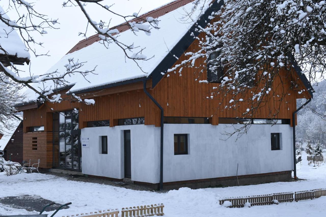 Aster Panzio Bed and Breakfast Cîmpu Cetăţii Exteriör bild