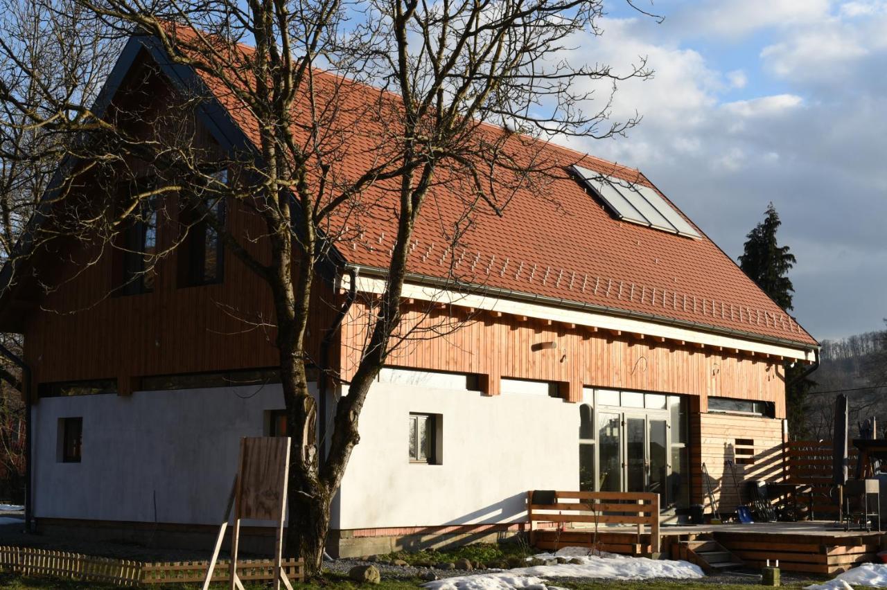 Aster Panzio Bed and Breakfast Cîmpu Cetăţii Exteriör bild